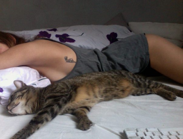 Девушка и кот в постели