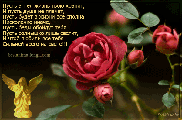 Красные розы и стих