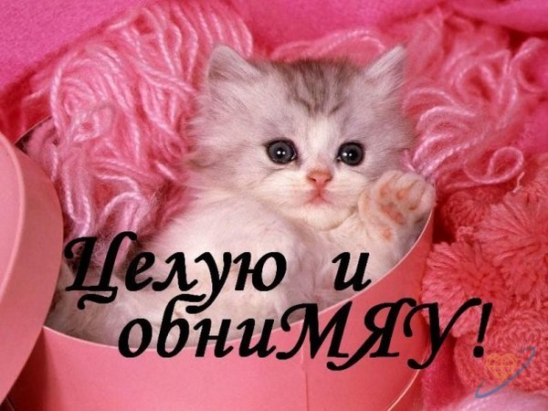 Котенок в розовых нитках.