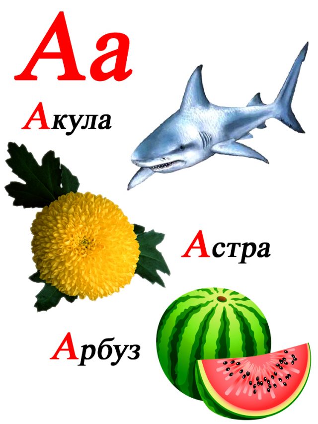 Акула, Астра, Арбуз