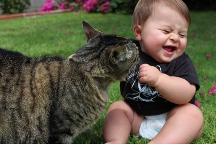 Кот играется с ребенком