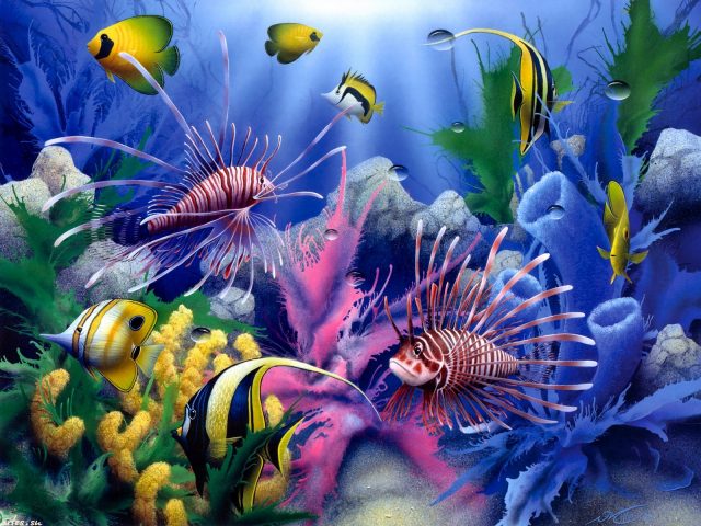 Картинка для детей «экзотические рыбки».