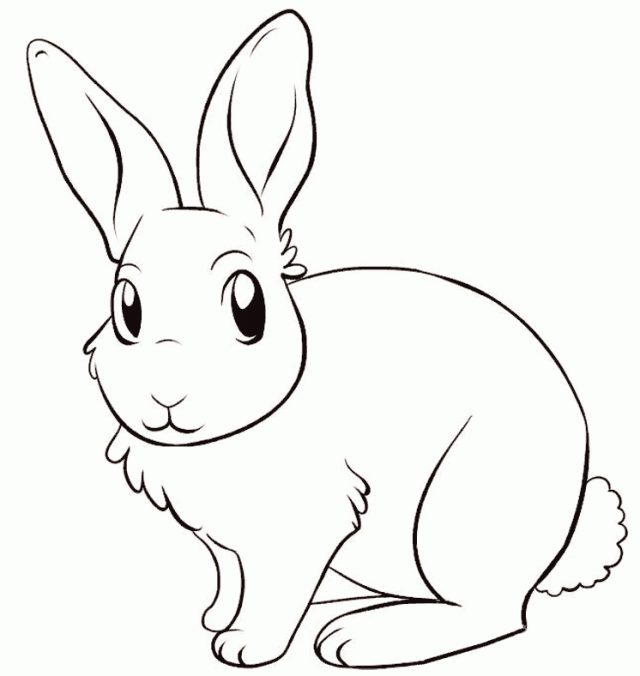 Раскраска кролик для детей.
