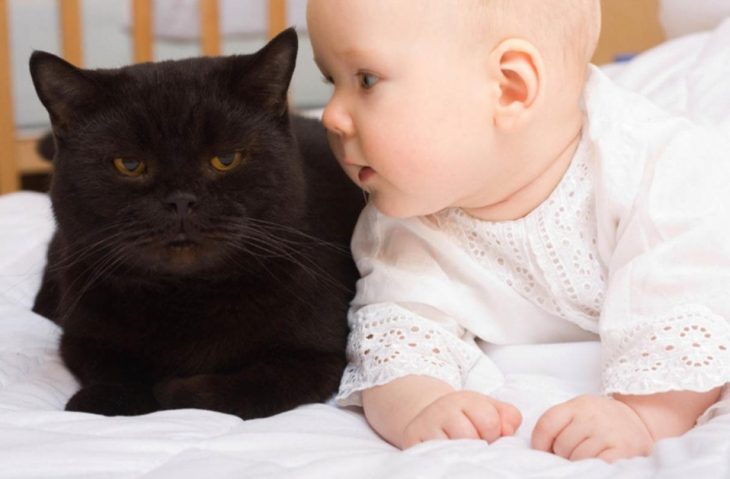 Малыш и черный кот