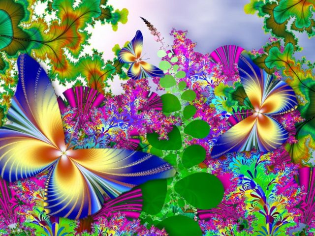 Разноцветные бабочки на цветках