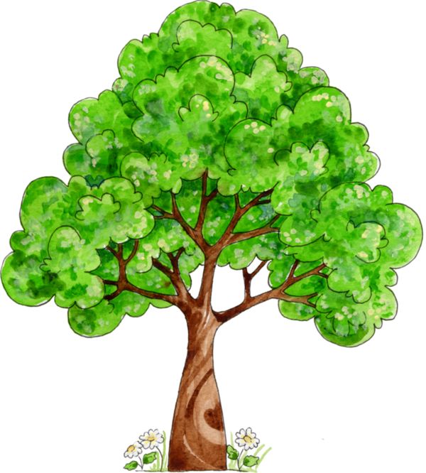 Нарисованное дерево.