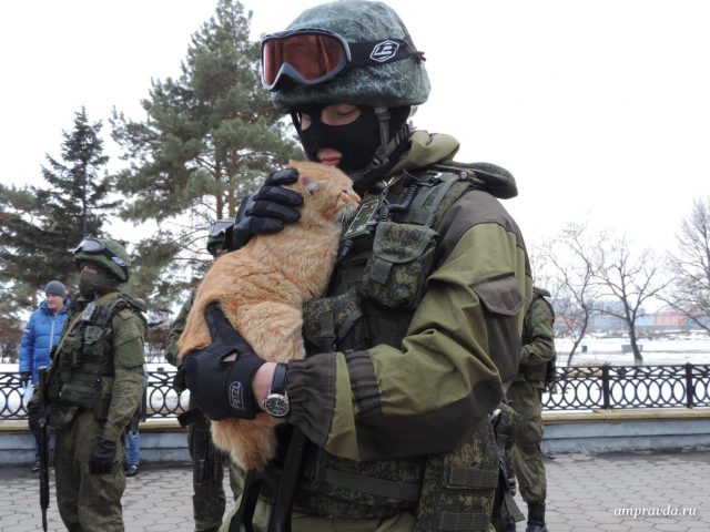 Военный с котом на руках.