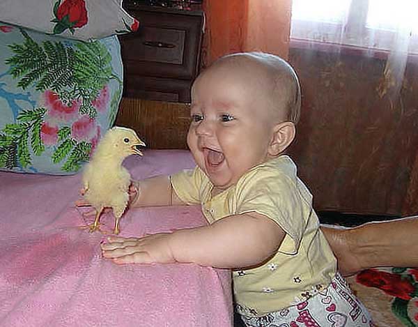 Ребенок с цыплёнком