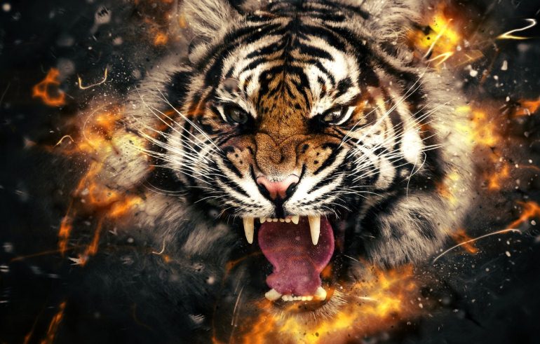 Яростный тигр