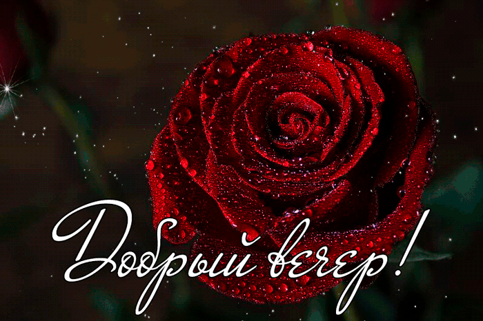 Мерцающая открытка Добрый вечер с розой