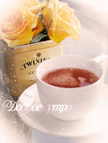 Чашечка чая и розы