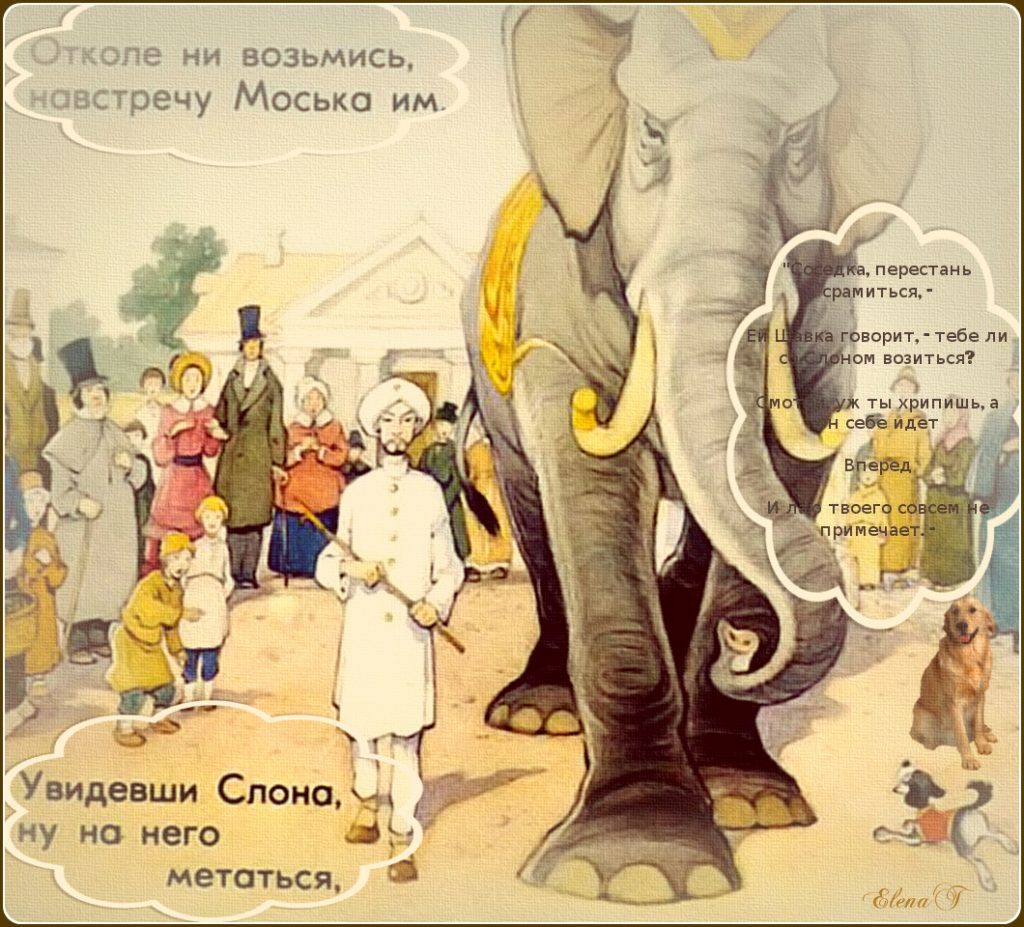 Слон и люди