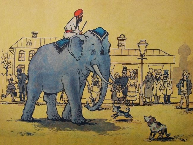 Человек сидит на слоне