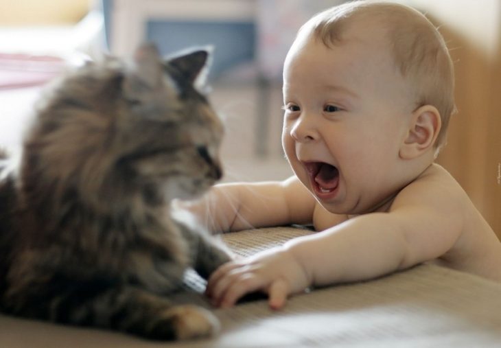 Малыш радуется котику