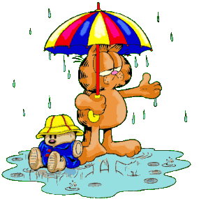 Кот под зонтиком