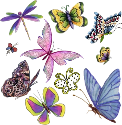 Разноцветные красивые бабочки