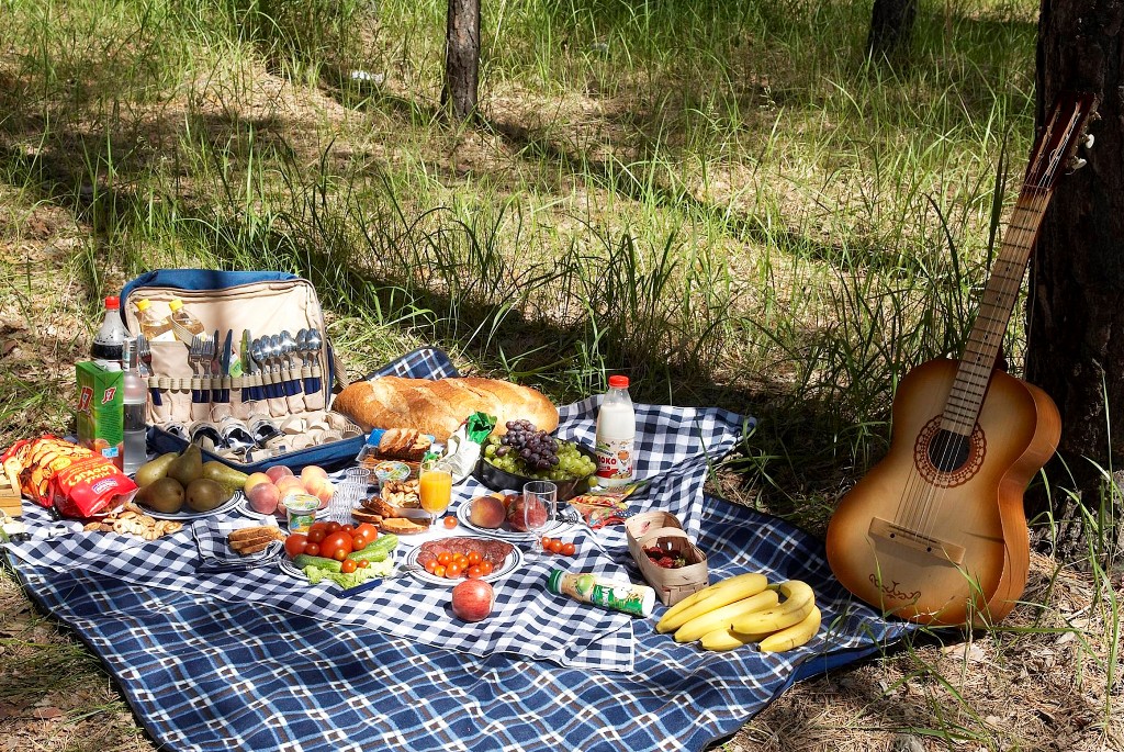 Фото с пикника с шашлыком на природе