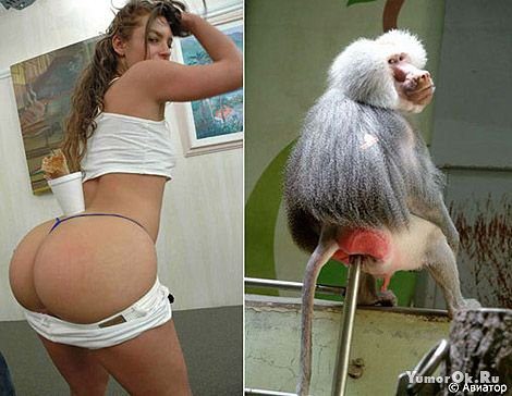 Прикольная картинка про девушку и обезьяну.