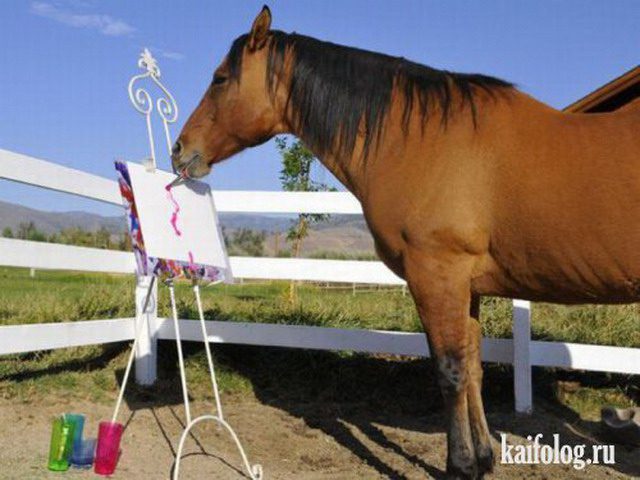 Конь рисует картину.