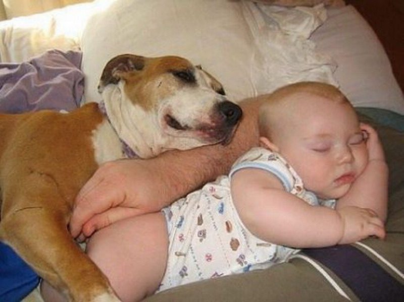 Собака и малыш спят.
