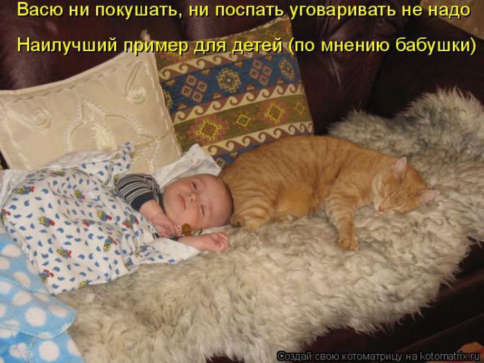 Малыш и кот.