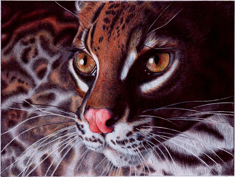 Нарисованный леопард.