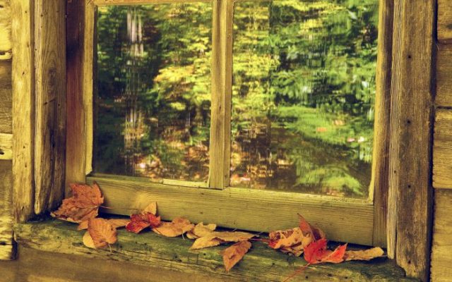 Осень за окном.