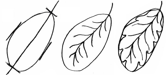 Рисуем листок в 3 этапа.