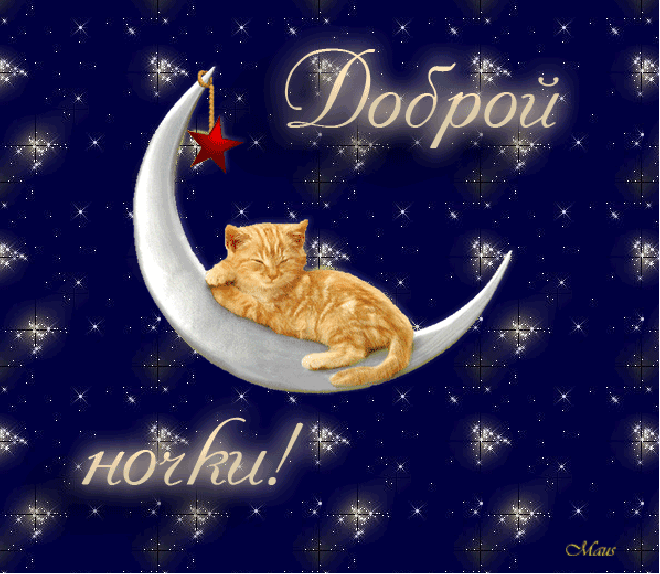 Рыжий котик спит на луне.