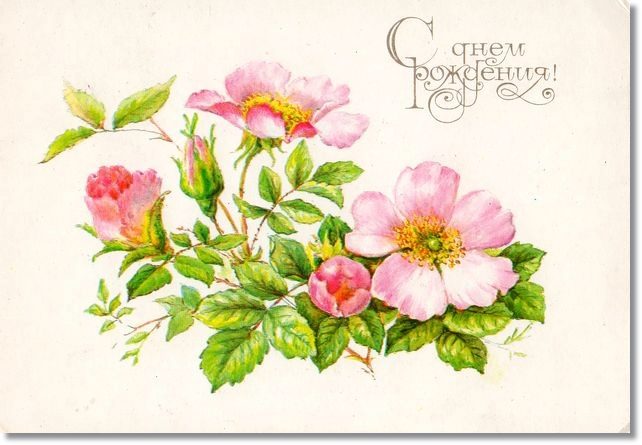 Букет нежных розовых цветов