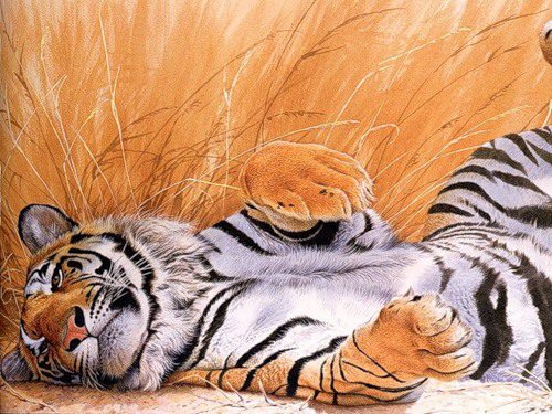 Картинка нарисованного тигра.