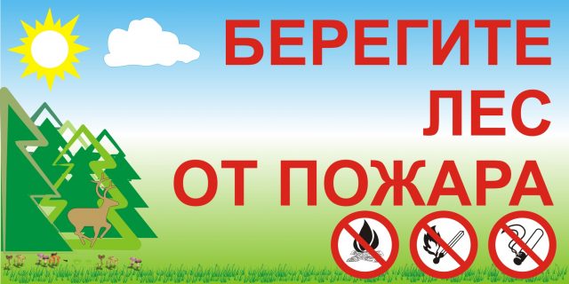Спички, сигареты и костры - запрещены в лесу.