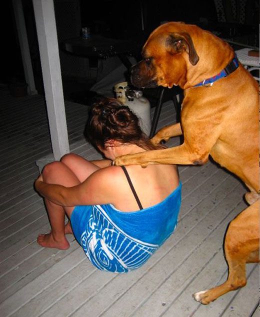 Собака-массажист!