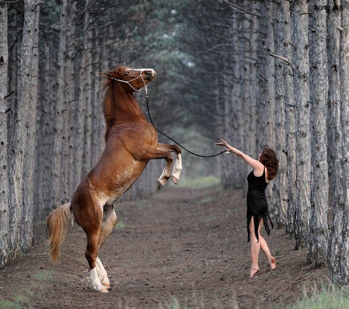 Конь с девушкой в лесу.