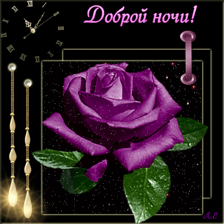 Фиолетовая роза и пожелания доброй ночи.