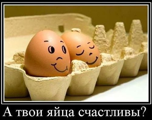 А твои яйца счастливы?