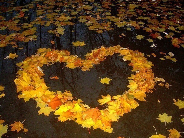 Большое сердце из листьев.