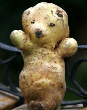Картошка — медвежонок.