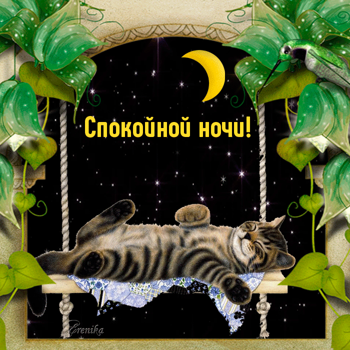 Мерцающая открытка с котом и месяцем за окном.