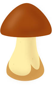 Простой рисунок белого гриба