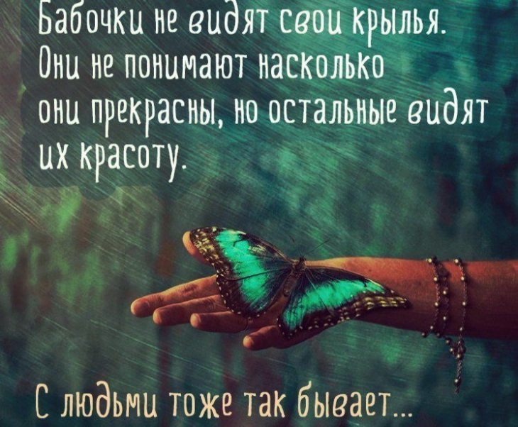 Бабочки не видят свои крылья. Они не понимают насколько прекрасны.