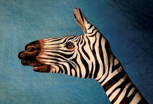 Нарисованная зебра на руке.