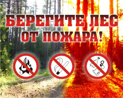 Правила пожарной безопасности в лесу!