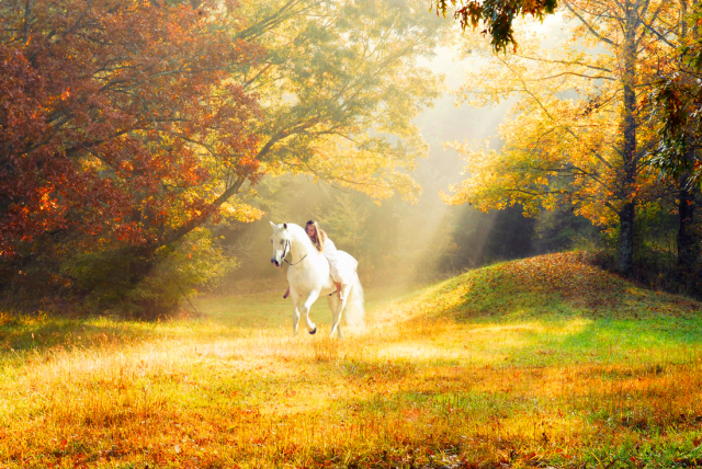 Девушка на лошади в осеннем лесу.