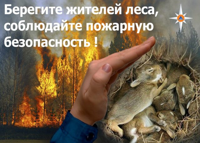Берегите жителей леса, соблюдайте пожарную безопасность!