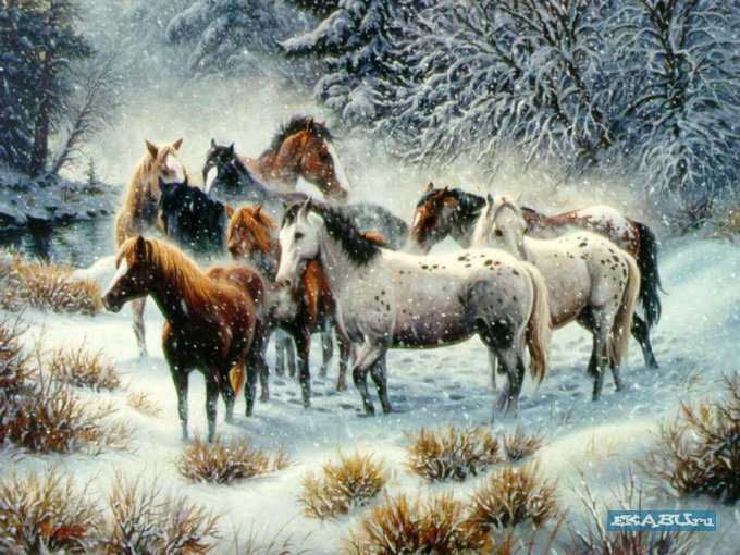 Рисунок лошадей в зимнем лесу.