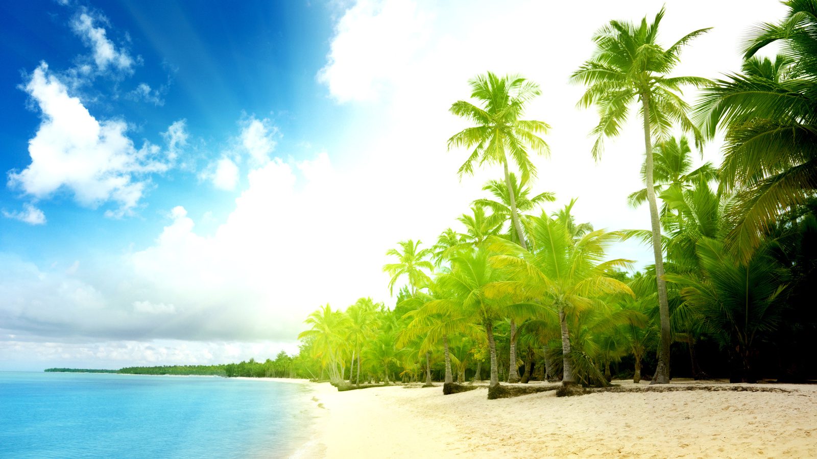 Море, солнце, пляж и пальмы.