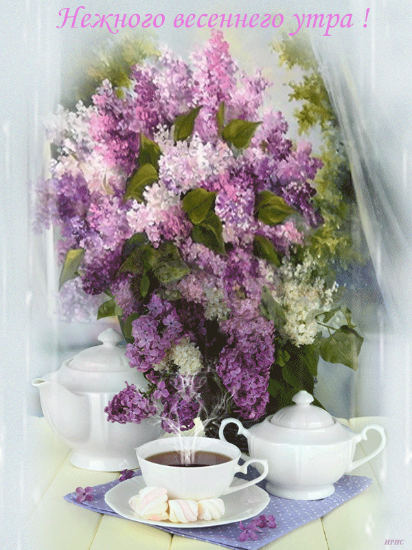 Сирень с чашечкой чая и теплыми пожеланиями на утро.
