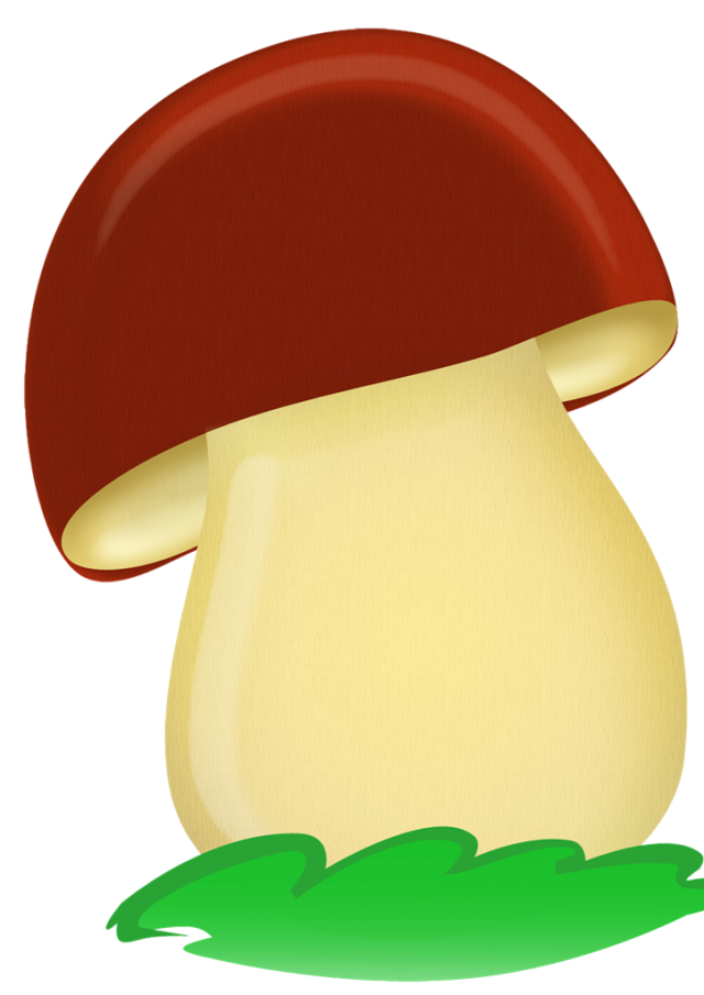 Рисунок для срисовки белый гриб