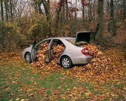 Машина набита листвой.